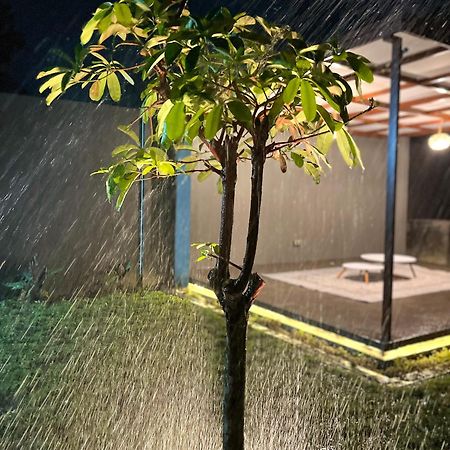 Joglo Homestay Banyuwangi 바뉴왕기 외부 사진