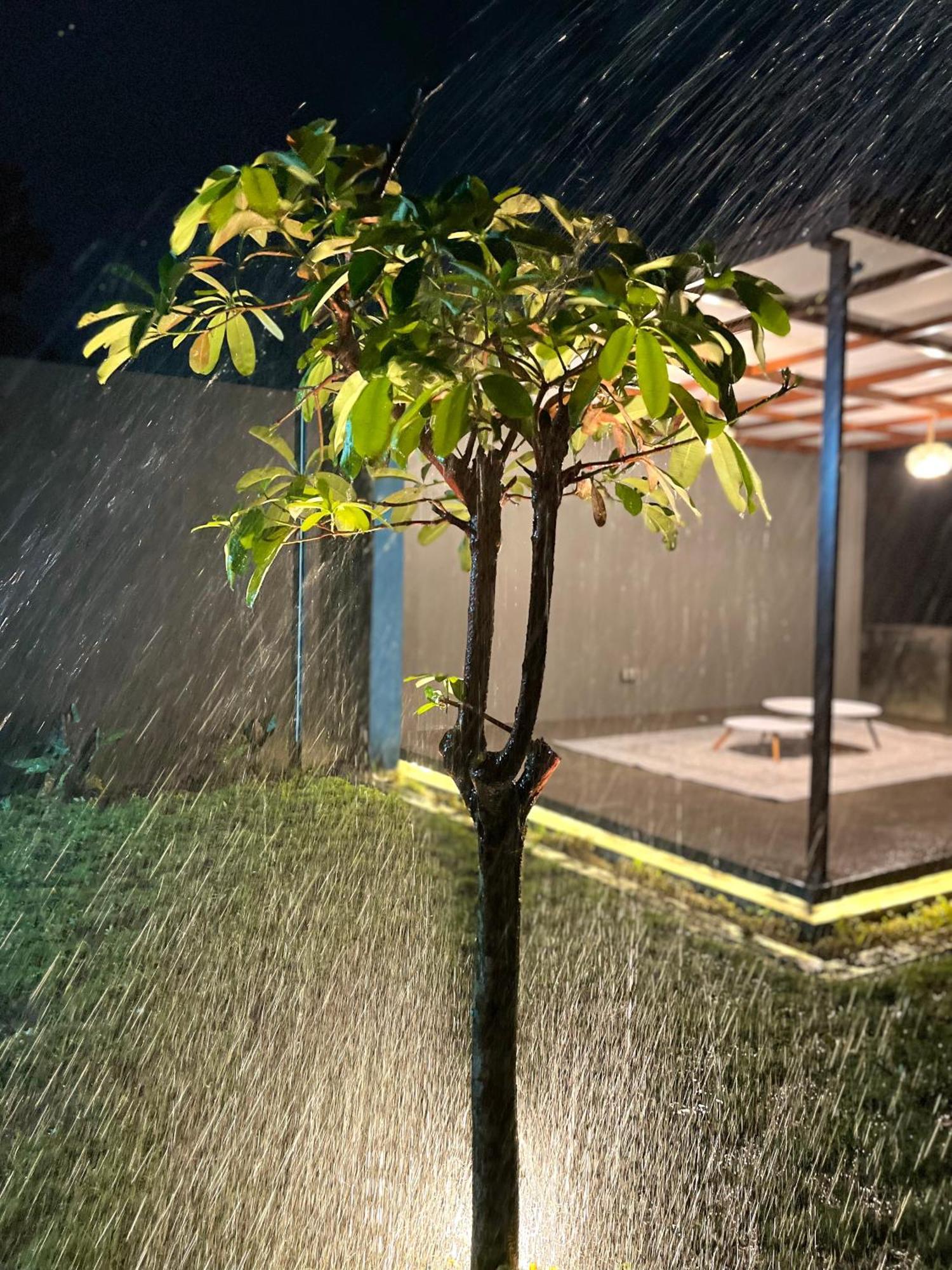 Joglo Homestay Banyuwangi 바뉴왕기 외부 사진