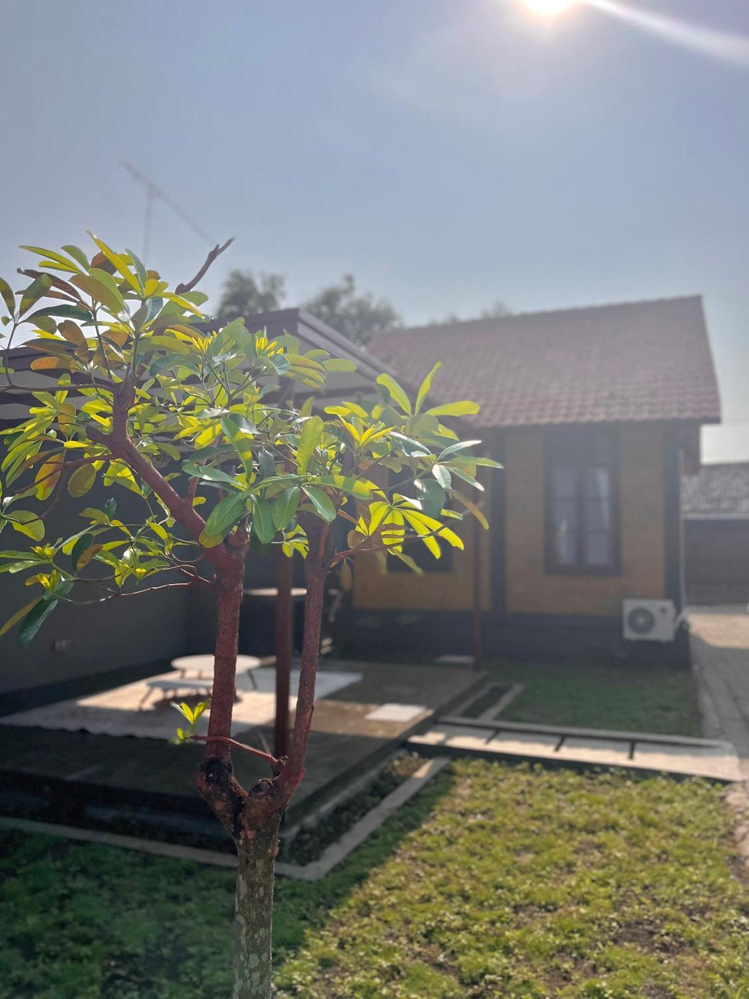 Joglo Homestay Banyuwangi 바뉴왕기 외부 사진